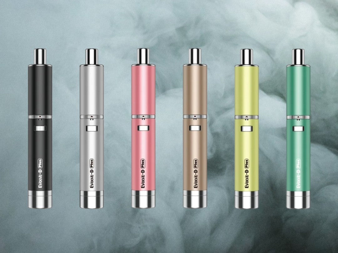 Evolve-D PLUS