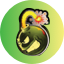 The Bomb Head Shop logo