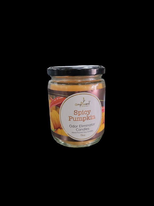 Spicy Pumpkin Odor Eliminating Candle